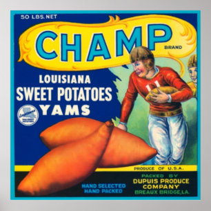 Champ Louisiana Sweet Potates Poster