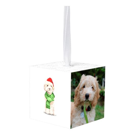 Champagne Cockapoo Two Photo Holiday Cube Ornament (Achter hoekig)