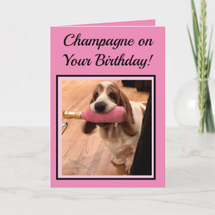 Champagne en Basset Hound op Funny Birthday Card Kaart