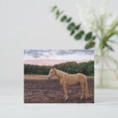 Champagne Horse Briefkaart (Staand voorkant)