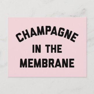 Champagne Membrane Funny Quote Briefkaart