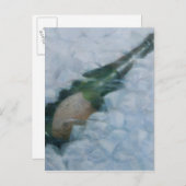 Champagne op ijs 2012 briefkaart (Voorkant / Achterkant)