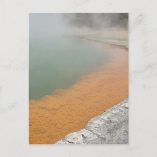 Champagne Pool Briefkaart (Voorkant)