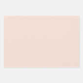 Champagne roze Plain Solid Kleur Inpakpapier Vel (Voorkant 2)