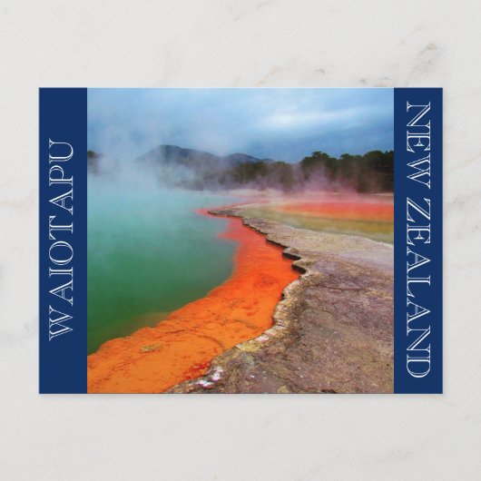 champagnepool briefkaart (Voorkant)