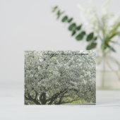 Champaign, Illinois Springtime Briefkaart (Staand voorkant)