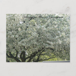 Champaign, Illinois Springtime Briefkaart