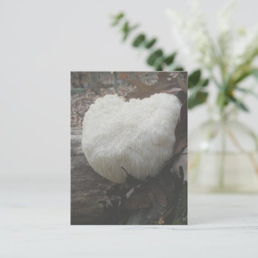 champignonbroed (Hericium erinaceus) Briefkaart (Staand voorkant)