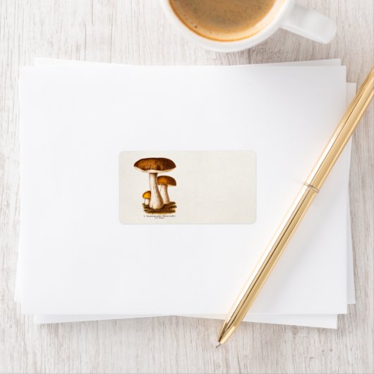  champignonbroeken van de 1800-jarigen: Bruin cham Etiket (Insitu)