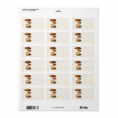  champignonbroeken van de 1800-jarigen: Bruin cham Etiket (Full Sheet)