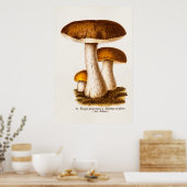  champignonbroeken van de 1800-jarigen: Bruin cham Poster (Keuken)