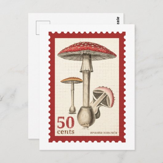 champignonpostzegel-Briefkaart Briefkaart (Voorkant / Achterkant)