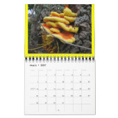 Champignonregenboog 2012-kalender kalender (Mar 2027)