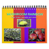 Champignonregenboog 2012-kalender kalender (Hoes)