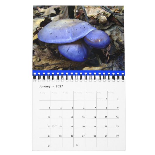 Champignonregenboog 2013-kalender kalender (Jan 2027)