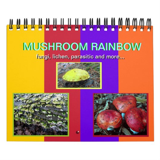 Champignonregenboog 2014-kalender kalender (Hoes)