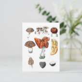 champignons briefkaart (Staand voorkant)