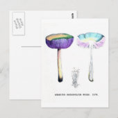  champignons briefkaart (Voorkant / Achterkant)