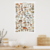 Champignons - Collectie van paddenstoelen Poster (Keuken)
