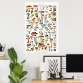 Champignons - Collectie van paddenstoelen Poster (Thuiskantoor)