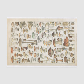 Champignons  Franse schimmels Decoupage Collage Tissuepapier