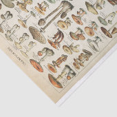 Champignons Franse schimmels Decoupage Collage Tissuepapier (Detail)