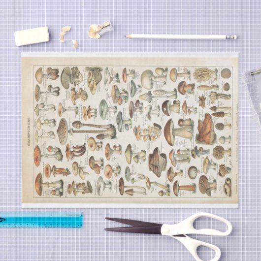 Champignons Franse schimmels Decoupage Collage Tissuepapier (Craft)