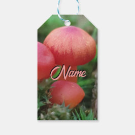 Champignons Helderrood op bosbodem Cadeaulabel