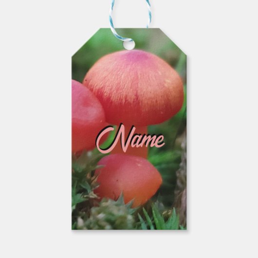 Champignons Helderrood op bosbodem Cadeaulabel (Voorkant)