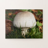 Champignons in een bos legpuzzel (Horizontaal)