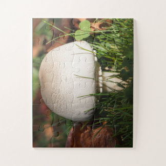 Champignons in een bos legpuzzel