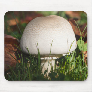 Champignons in een bos muismat