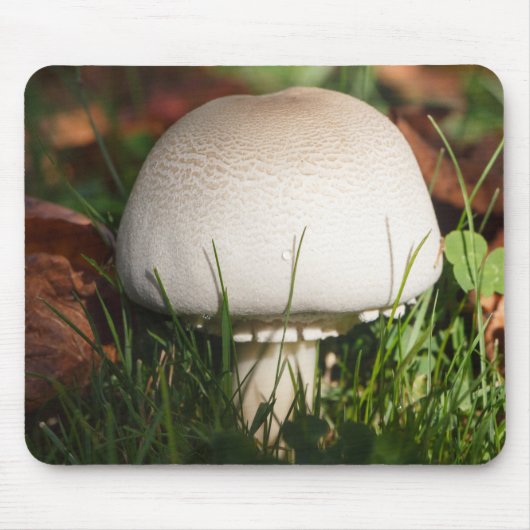 Champignons in een bos muismat (Voorkant)