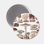champignons magneet (Voorkant / Achterkant)