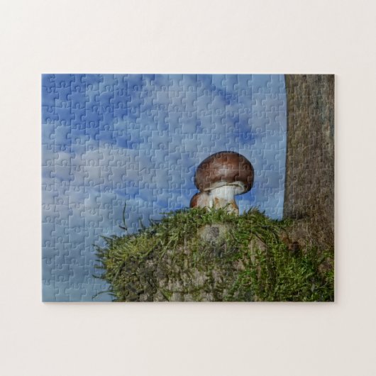 Champignons mit blauem Himmel Legpuzzel (Horizontaal)