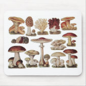  champignons muismat (Voorkant)