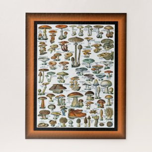 Champignons pour tous ~ paddenstoelen voor allen ~ legpuzzel