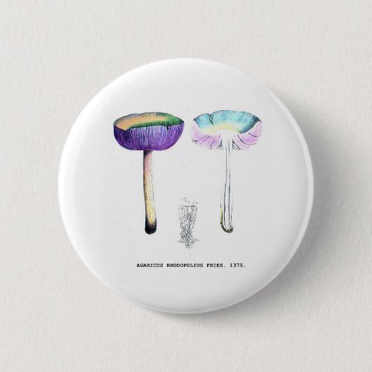 champignons ronde button 5,7 cm (Voorkant)