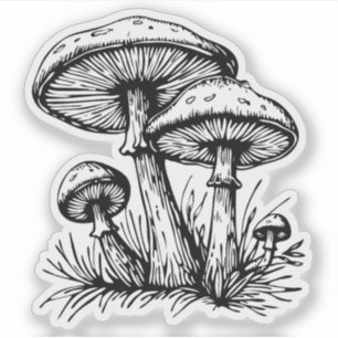 Champignons vinyl sticker