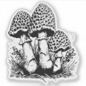 Champignons vinyl sticker (Voorkant)