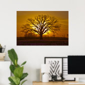 Champion Bur Oak Sunset Poster (Thuiskantoor)