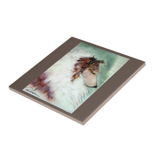 Champion Collie. .. Tegeltje (Zijkant)