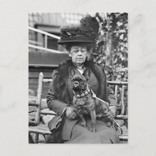 Champion French Bulldog, 1920 Briefkaart (Voorkant)