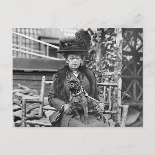 Champion French Bulldog, 1920 Briefkaart (Voorkant)