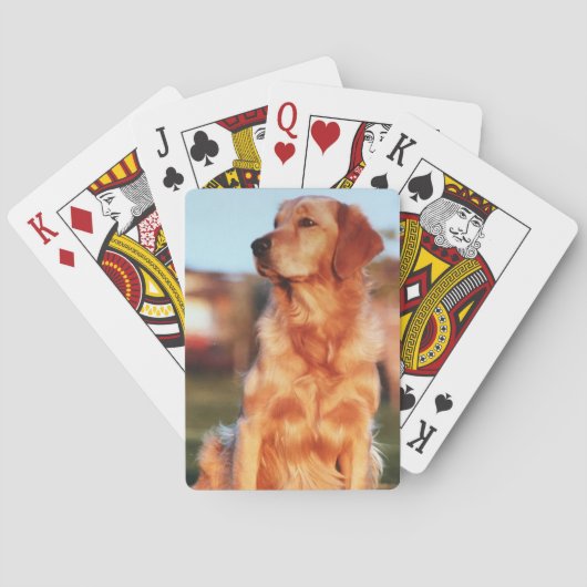 Champion Golden Retriever Amazing Pet Dog Pokerkaarten (Achterkant)
