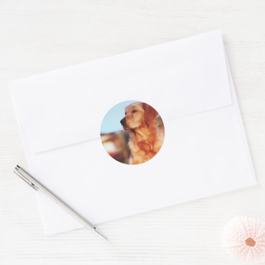 Champion Golden Retriever Dog Sticker (Envelop)