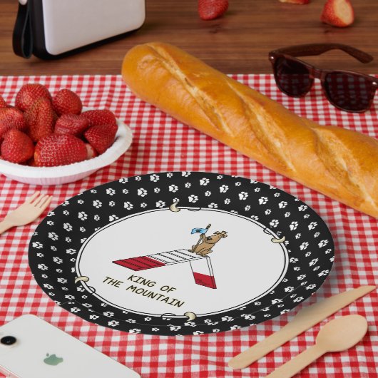 Champion koning van de berghondenbehendigheid grap papieren bordje (Picknick)