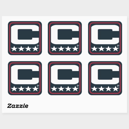 Champion Patch - HOU Blue Sticker (Vel)