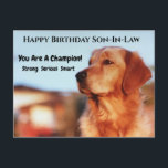 Champion Son-in-law Birthday Golden Retriever Briefkaart<br><div class="desc">Je bent een kampioen! Als je schoonzoon een fan is van gouden bergen,  zal hij dit geweldige verjaardagsbriefkaart waarderen. "Sterke,  serieuze,  slimme" stuurt een verdienstelijke boodschap naar alle jongens.</div>