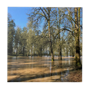 Champoeg State Park, Saint Paul OR Tegeltje